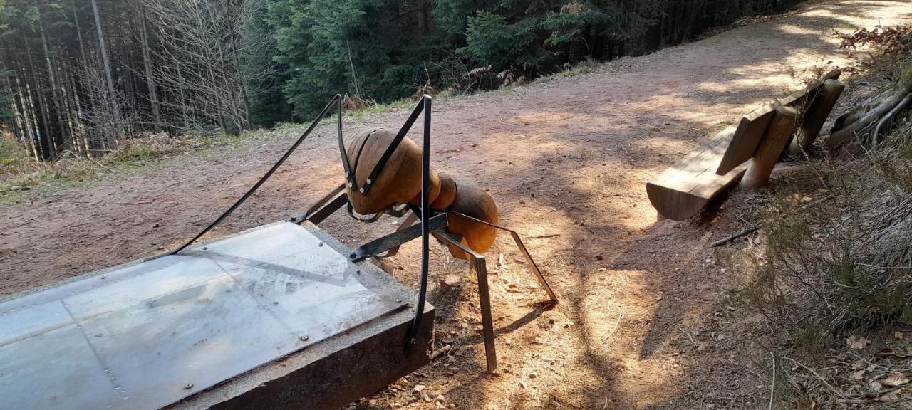 De La Creuse * Fays (Vosges)